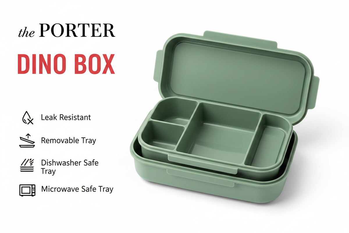 Dino Box